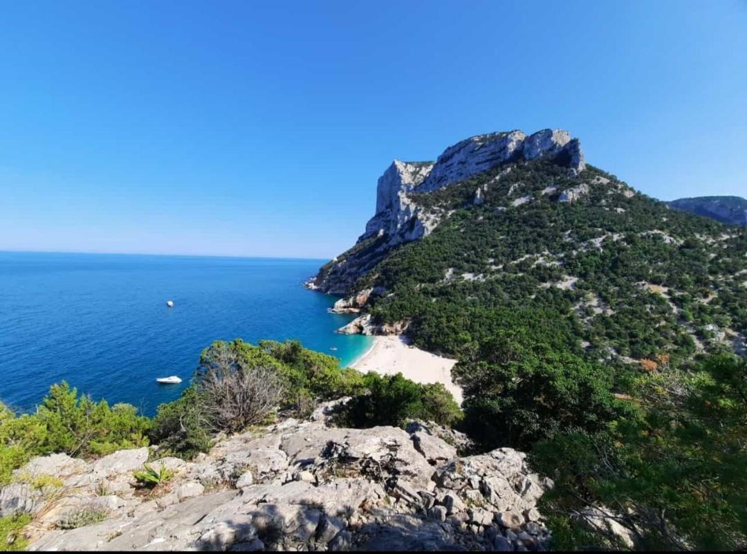 Appartamento Oleandro กาลาโกโนเน ภายนอก รูปภาพ