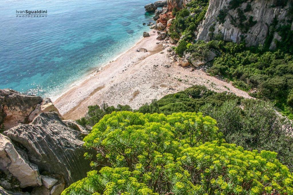 Appartamento Oleandro กาลาโกโนเน ภายนอก รูปภาพ